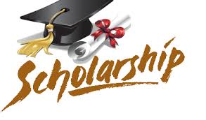 Katsina State Special Foreign Undergraduate Scholarship 2023 Is Open