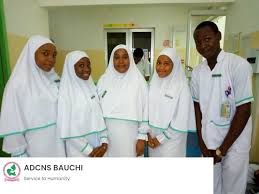 Aliko Dangote College Of Nursing Sciences Bauchi