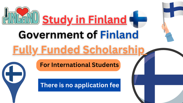 Apply For Finland Government Scholarships 2024 | Study In Europe