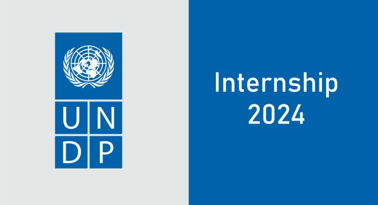 Project Interns Needed At Undp (Undp Internship 2024)