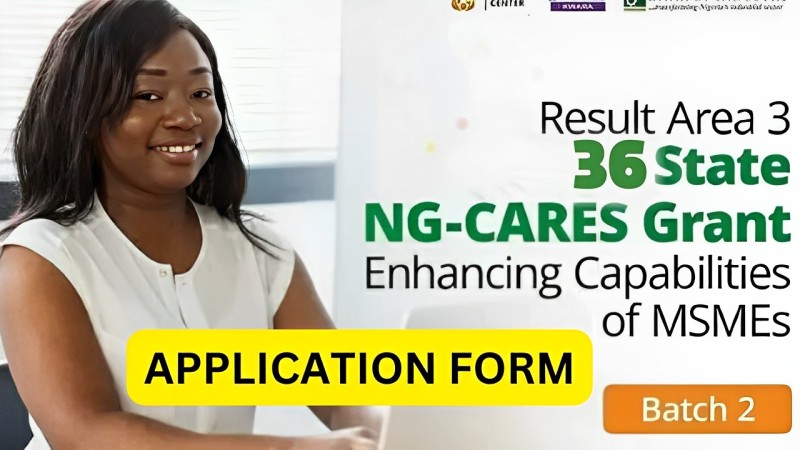 Apply For Ng Cares Batch 2 Fund 2024 | N50,000 To N250,000 For Entrepreneurs